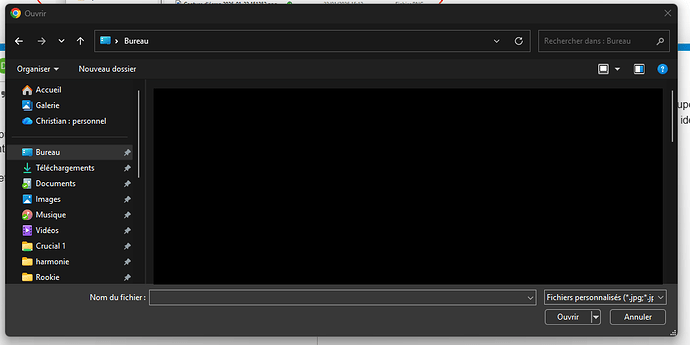Capture d'écran 2026-01-25 110150